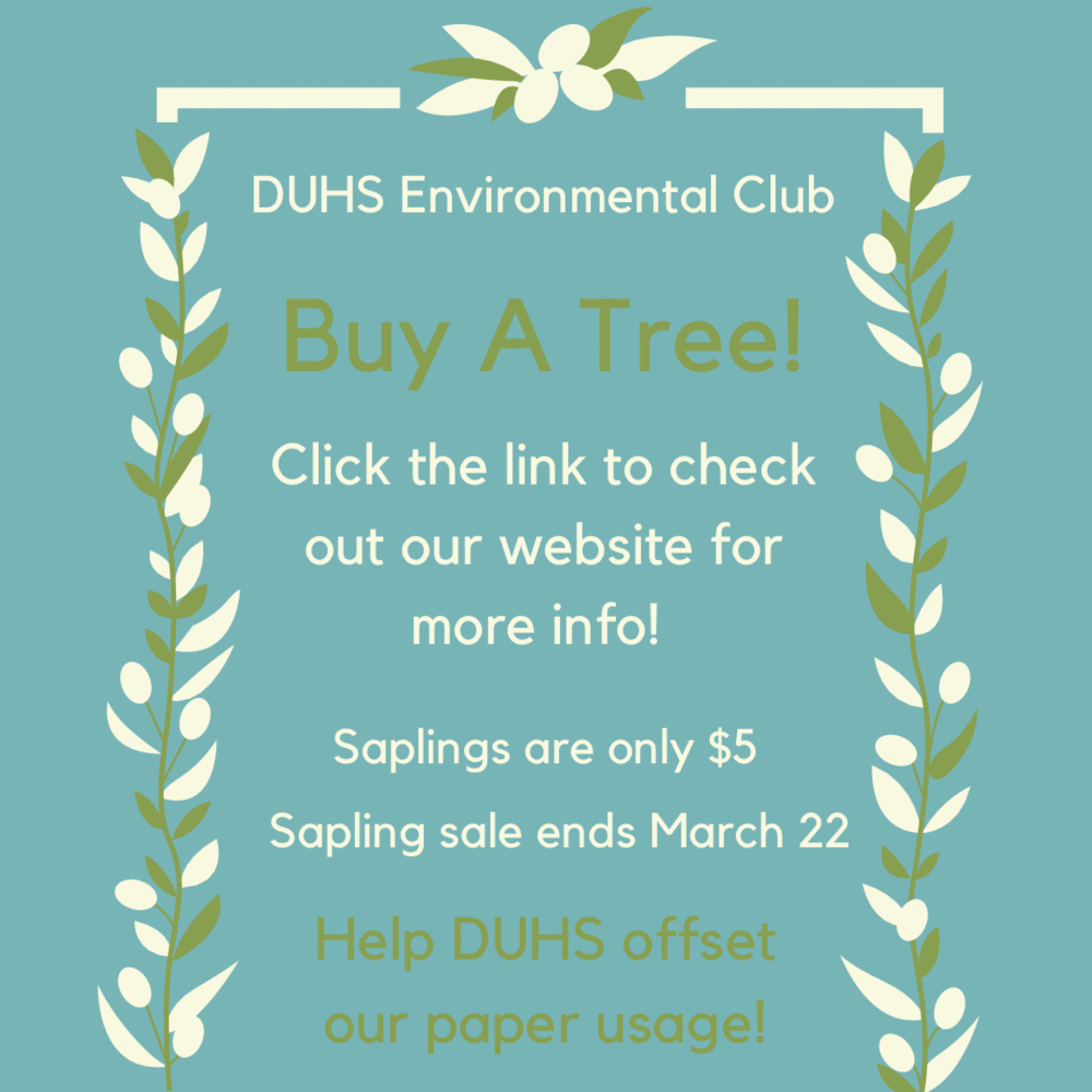 Buy a tree